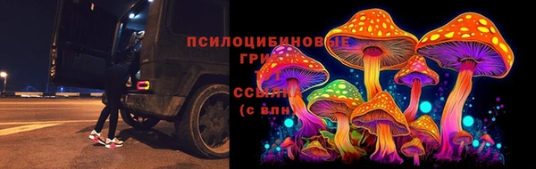 прущая мука Абаза