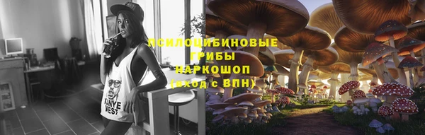 прущая мука Абаза