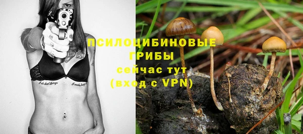 эйфоретик Абинск