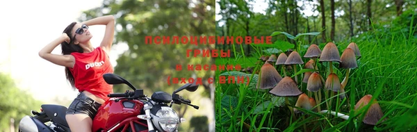 эйфоретик Абинск