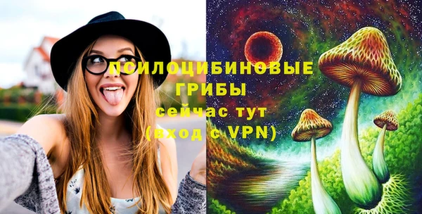 прущие грибы Пролетарск